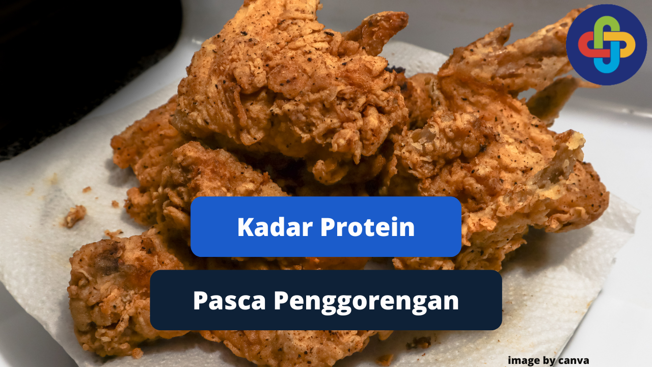 Pengaruh Penggorengan Terhadap Protein Daging Ayam